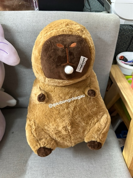 Capybara thổi bóng CC