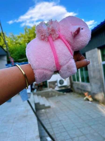 Vòng tay capybara CC