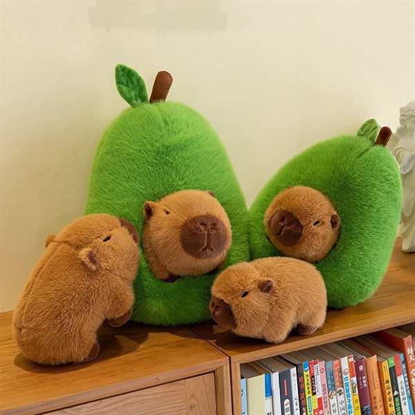 Capybara trong quả bơ