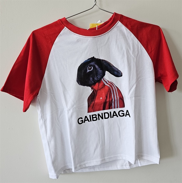 Áo thun GAIBNDIAGA (120)