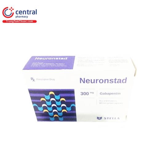 Neuronstad (H100v)