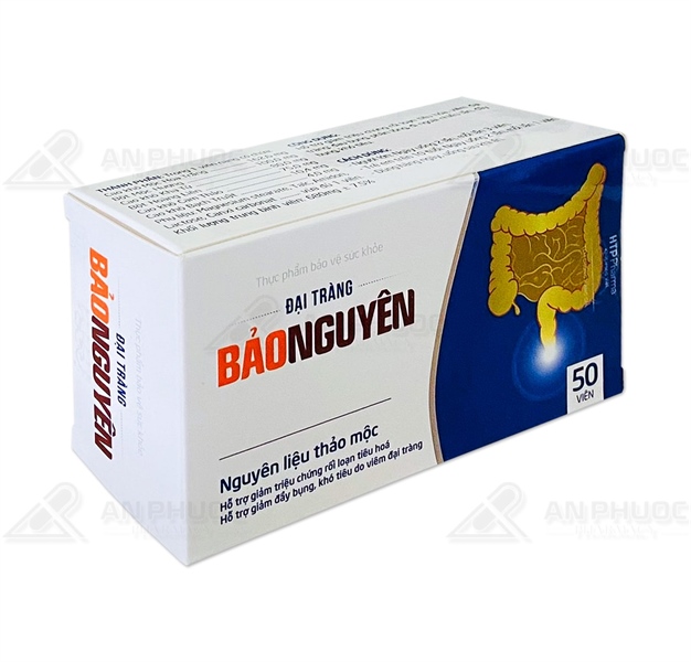 Đại tràng bảo nguyên