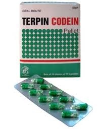 Terpin codein Phabaco hộp 100 viên