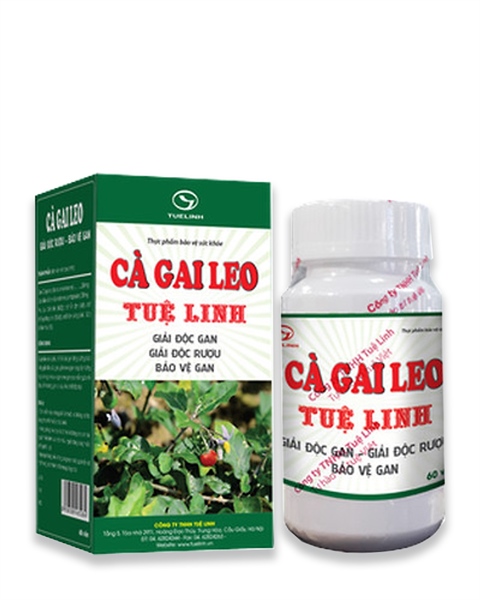 Cà gai leo Tuệ Linh 60 viên