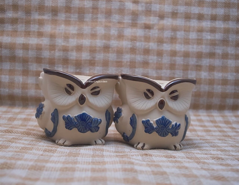 Chậu Gốm Cú Trắng Vân Xanh Size 10,5