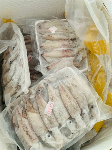 Mực trứng đại lãnh 1kg