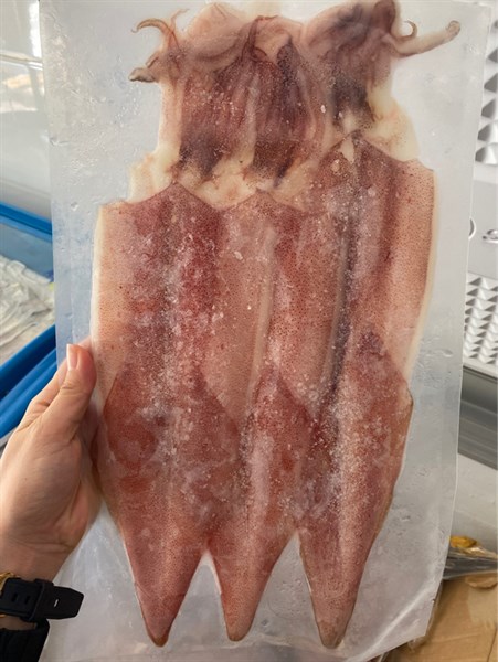 Mực dẻo 2 nắng sz 6con 500gr