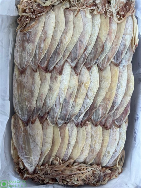 Mực khô