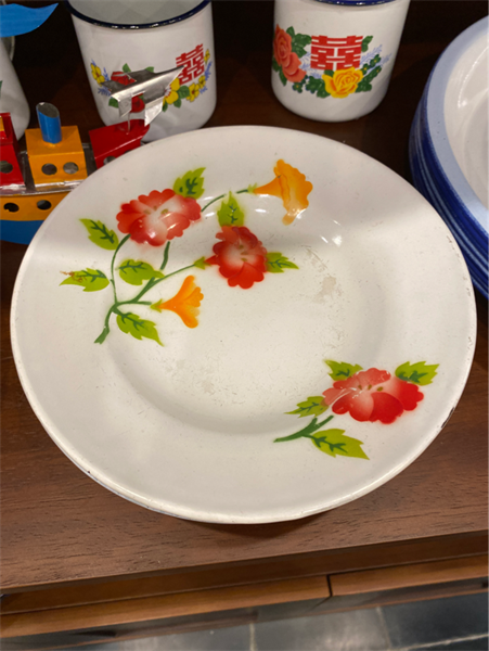 HOLO DISH