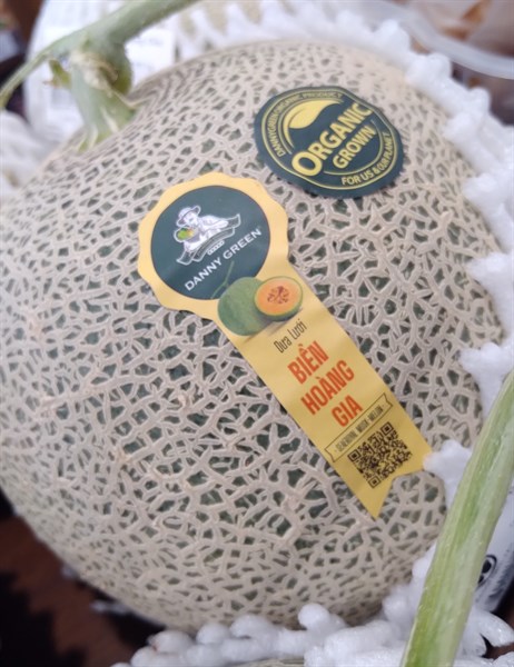 Dưa Biển Hoàng Gia メロン (VietGab)