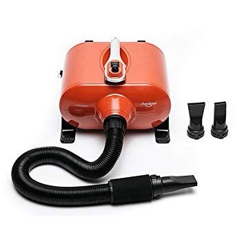 Máy sấy cao cấp Shernbao 3000W