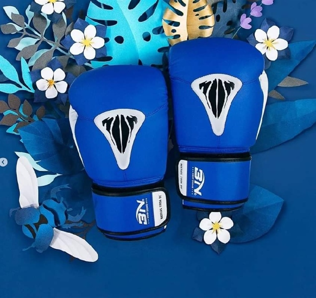Găng Tay Boxing BN Beetles
