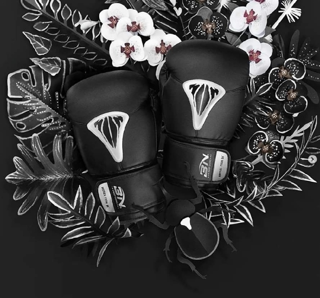 Găng Tay Boxing BN Beetles