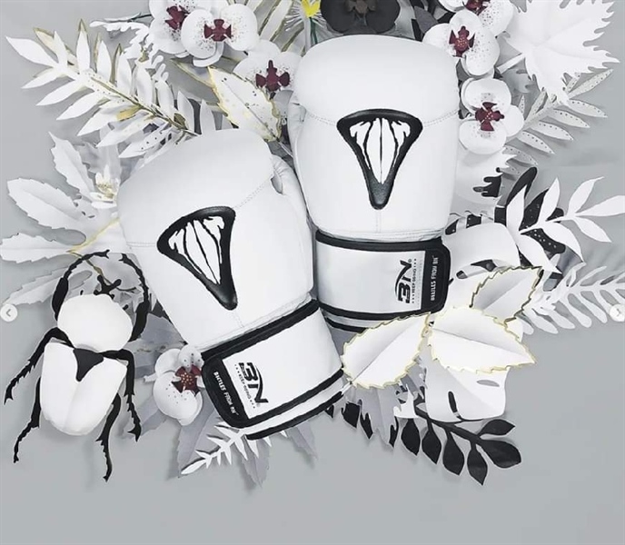 Găng Tay Boxing BN Beetles