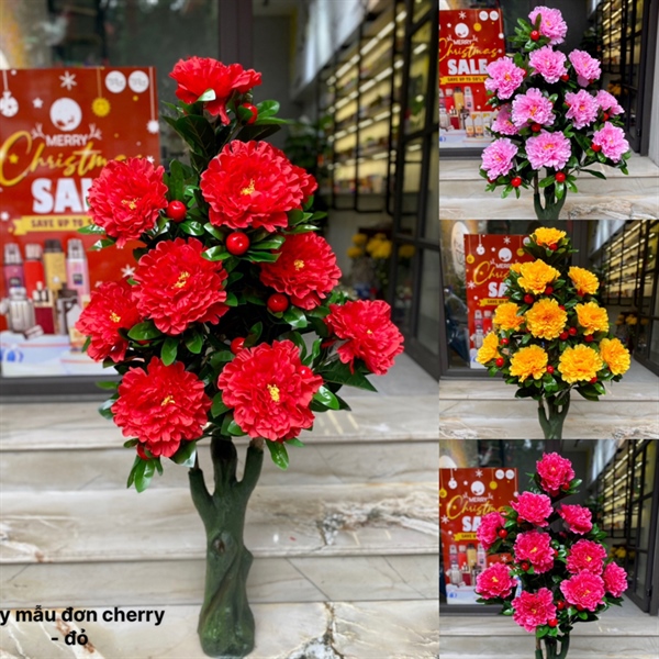 Cây mẫu đơn cherry - Cây - Hoa Lụa Vân Vượng