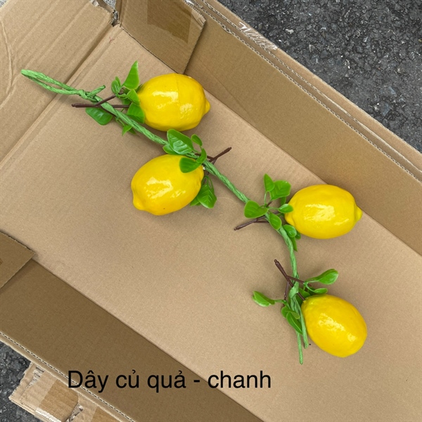 Dây Củ Quả - chanh - Quả và dây quả - Hoa Lụa Vân Vượng