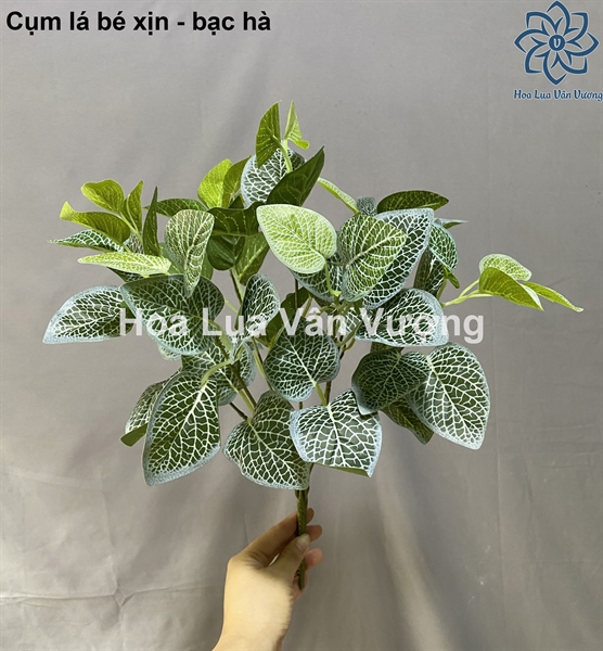 Cụm lá bé xịn - bạc hà - Lá cành ngắn - Hoa Lụa Vân Vượng