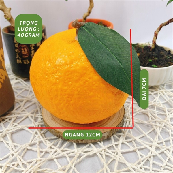 Cam sành vàng - Quả và dây quả - Hoa Lụa Vân Vượng