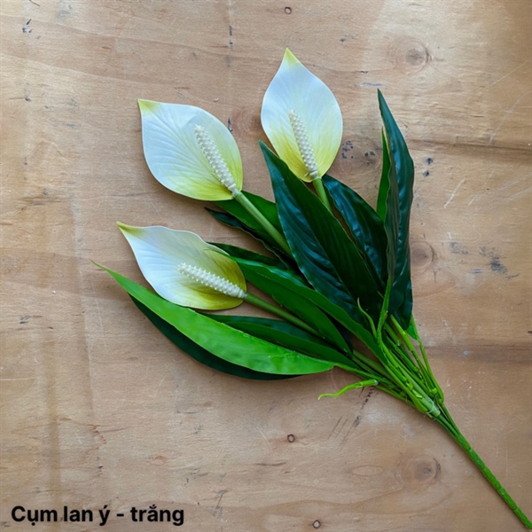 Cụm lan ý - Hoa cành ngắn - Hoa Lụa Vân Vượng