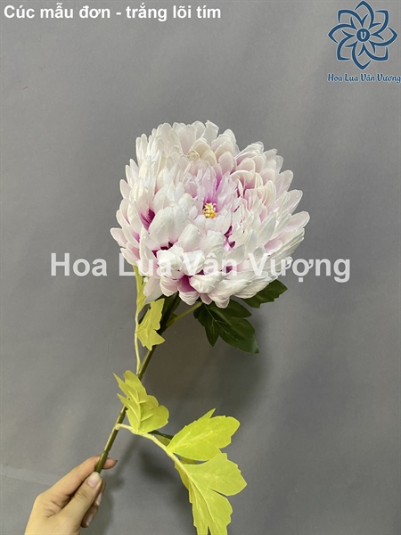 Cúc mẫu đơn - Hoa cành dài - Hoa Lụa Vân Vượng