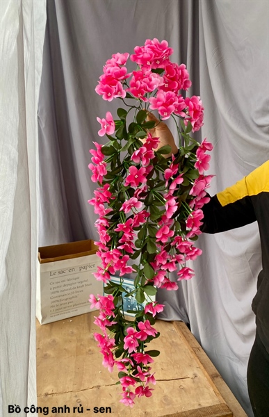 Bồ công anh rủ - Sen - Rủ - Hoa Lụa Vân Vượng