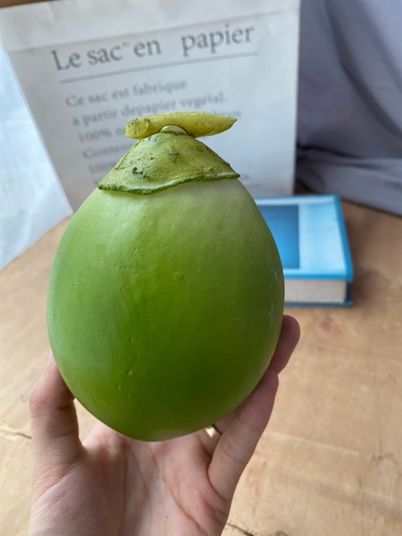 Quả dừa - Quả và dây quả - Hoa Lụa Vân Vượng