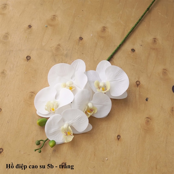 Hồ điệp cao su 5b - trắng - Hồ điệp, lan - Hoa Lụa Vân Vượng
