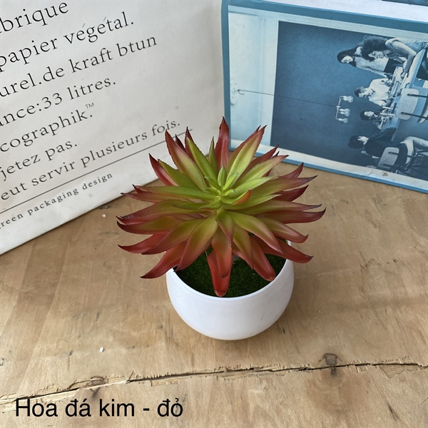 Hoa đá kim - đỏ - Hoa đá - Hoa Lụa Vân Vượng