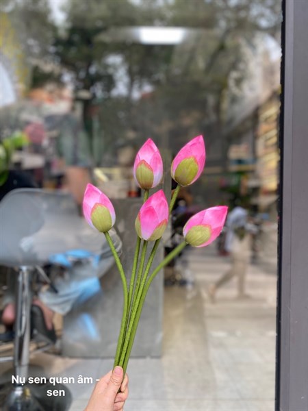 Nụ sen quan âm - sen - Sen - Hoa Lụa Vân Vượng