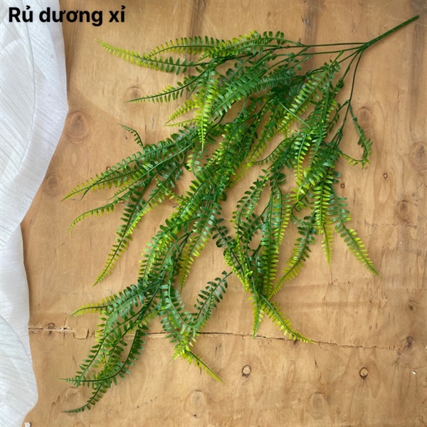 Rủ dương xỉ - Rủ - Hoa Lụa Vân Vượng