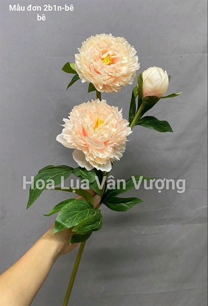 Mẫu đơn 2b1n - bê - Hoa cành dài - Hoa Lụa Vân Vượng