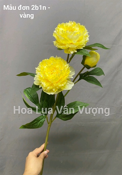Mẫu đơn 2b1n - vàng - Hoa cành dài - Hoa Lụa Vân Vượng