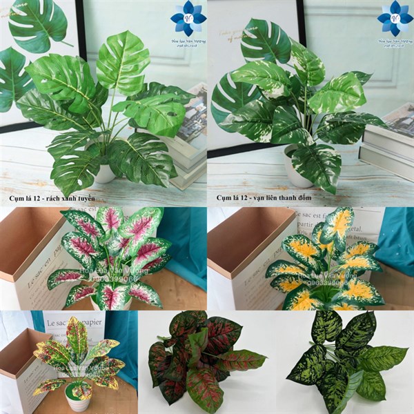 Cụm lá 12 - rách xanh tuyền to - Lá cành ngắn - Hoa Lụa Vân Vượng