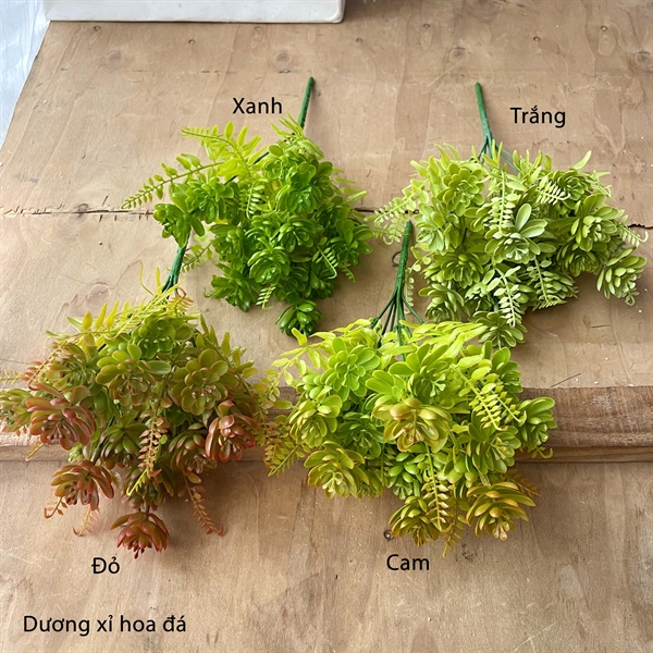 Dương xỉ hoa đá - Hoa đá - Hoa Lụa Vân Vượng