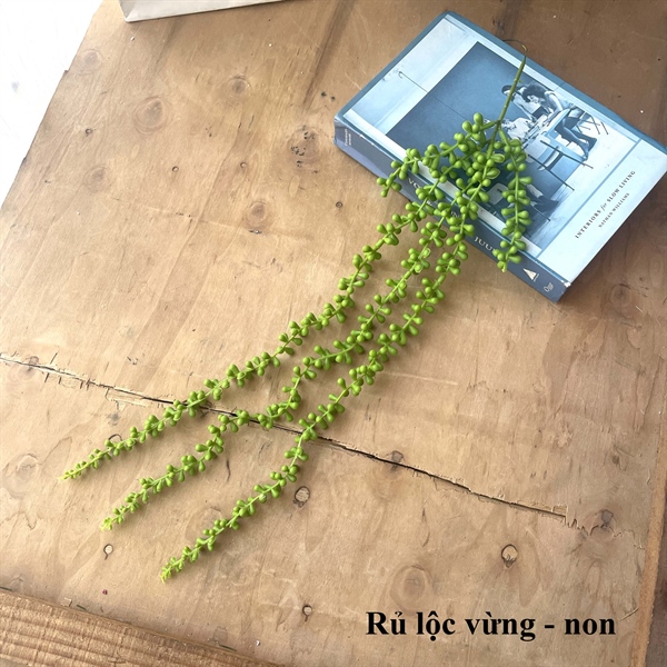 Rủ lộc vừng - Rủ - Hoa Lụa Vân Vượng