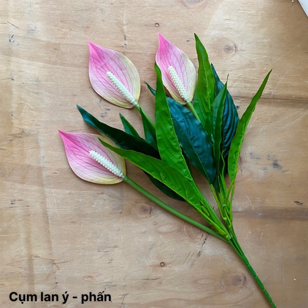 Cụm lan ý - Phấn - Hoa cành ngắn - Hoa Lụa Vân Vượng