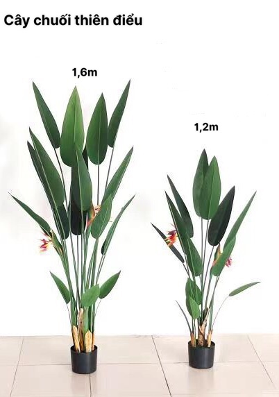 Cây thiên điểu lá nhọn 1,2m - Cây - Hoa Lụa Vân Vượng