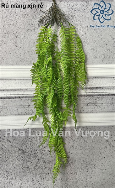 Rủ măng xịn rễ - Rủ - Hoa Lụa Vân Vượng