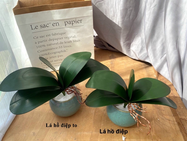 Lá hồ điệp - Lá cành ngắn - Hoa Lụa Vân Vượng