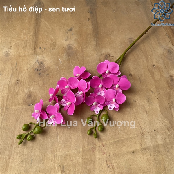 Tiểu hồ điệp - sen tươi - Hồ điệp, lan - Hoa Lụa Vân Vượng