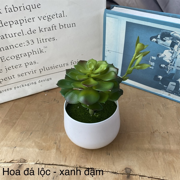 Hoa đá lộc - xanh đậm - Hoa đá - Hoa Lụa Vân Vượng