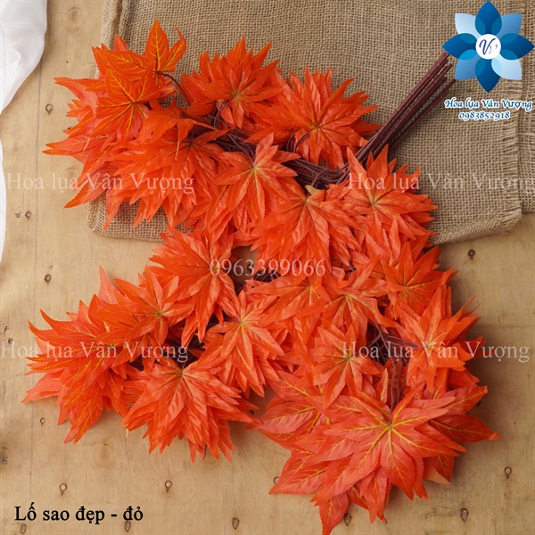 Lố sao đẹp - Lố lá và lố hoa - Hoa Lụa Vân Vượng