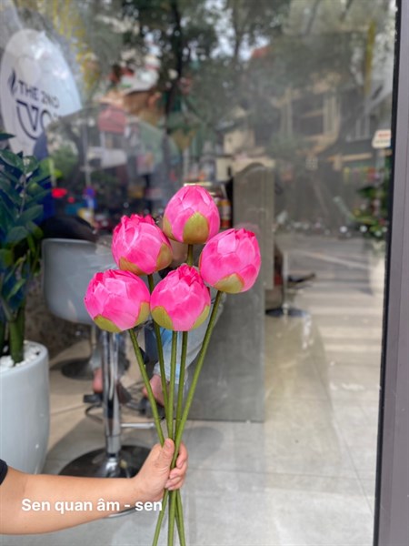 Sen quan âm - Sen - Hoa Lụa Vân Vượng