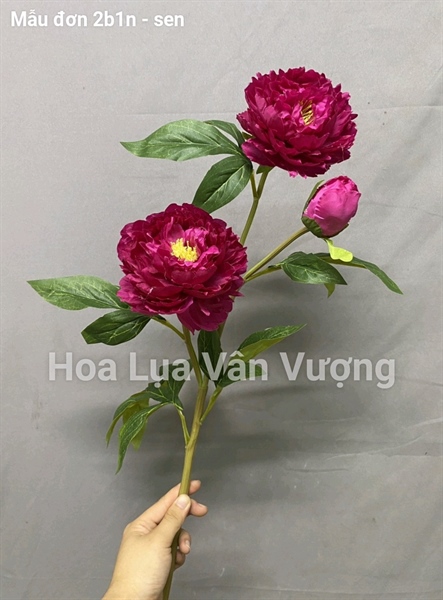 Mẫu đơn 2b1n - sen - Hoa cành dài - Hoa Lụa Vân Vượng