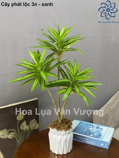Cây phát lộc 3n - Cây - Hoa Lụa Vân Vượng