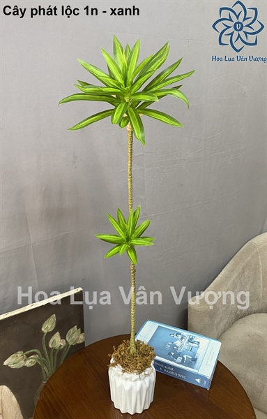 Cây phát lộc 1n - Cây - Hoa Lụa Vân Vượng