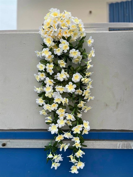 Bồ công anh rủ - Trắng - Rủ - Hoa Lụa Vân Vượng