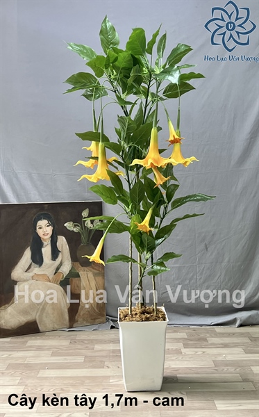 Cây kèn tây 1,7m - Cây - Hoa Lụa Vân Vượng