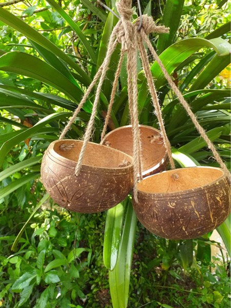 Gáo dừa - Lọ hoa - Hoa Lụa Vân Vượng