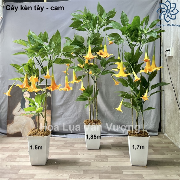 Cây kèn tây 1,5m - Cây - Hoa Lụa Vân Vượng
